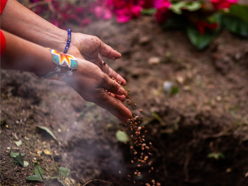 Fiesta de la Pachamama en Salta - agosto de 2026